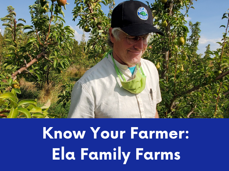 A farmer wearing a cap and glasses looks down in an orchard with fruit trees under a partly cloudy sky.