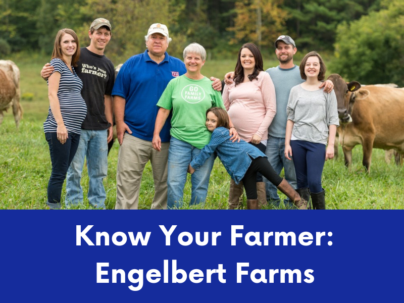 Eight smiling individuals, including two pregnant women and a child, stand in a grassy field with cows.