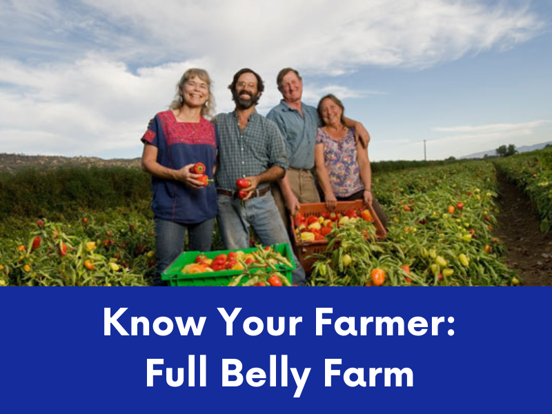 Four smiling farmers stand in a field of pepper plants, holding freshly picked peppers in crates and their hands.