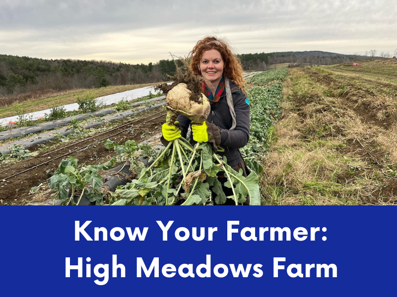 A smiling farmer in a field holds a freshly harvested kohlrabi with yellow-gloved hands.