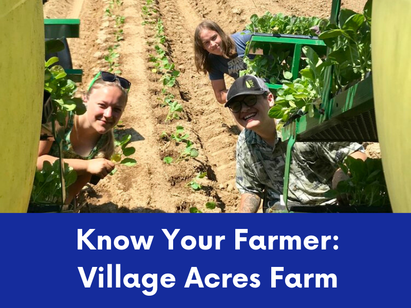 Three smiling individuals are working in rows of young plants in a field, possibly tending to crops.