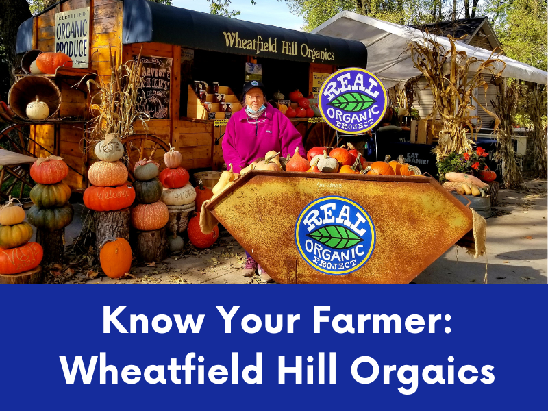 Vendor at Wheatfield Hill Organics stand with pumpkins and "Real Organic Project" signs.