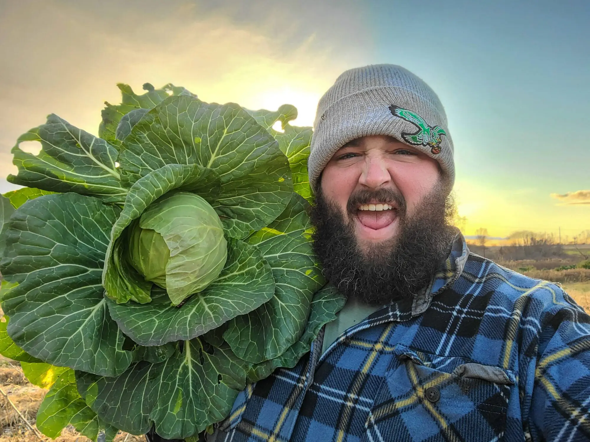 A smiling bearded man wearing a gray beanie with an Eagles logo and a blue plaid shirt, holding a large head of cabbage in a field at sunset, with trees and a yellow sky in the background.