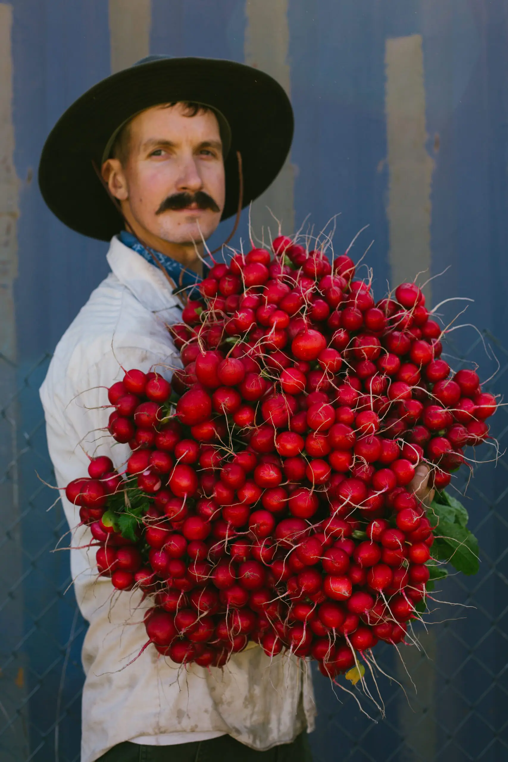 A smiling farmer wearing a wide-brimmed hat and a white shirt, holding a large bunch of freshly harvested red radishes with green tops, representing organic farming practices.