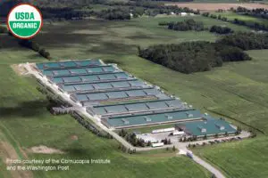 Aerial image of a confined chicken operation surrounded by pasture but there are no chickens visible