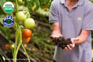 Image of Long Wind Farm's cherry tomatoes on a vine with a farmer holing up rich dark biologically rich soil