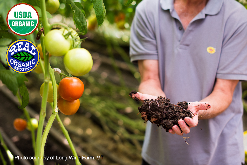 Organic tomatoes growing next to a farmer holding healthy soil, comparing USDA Organic and Real Organic Project standards.