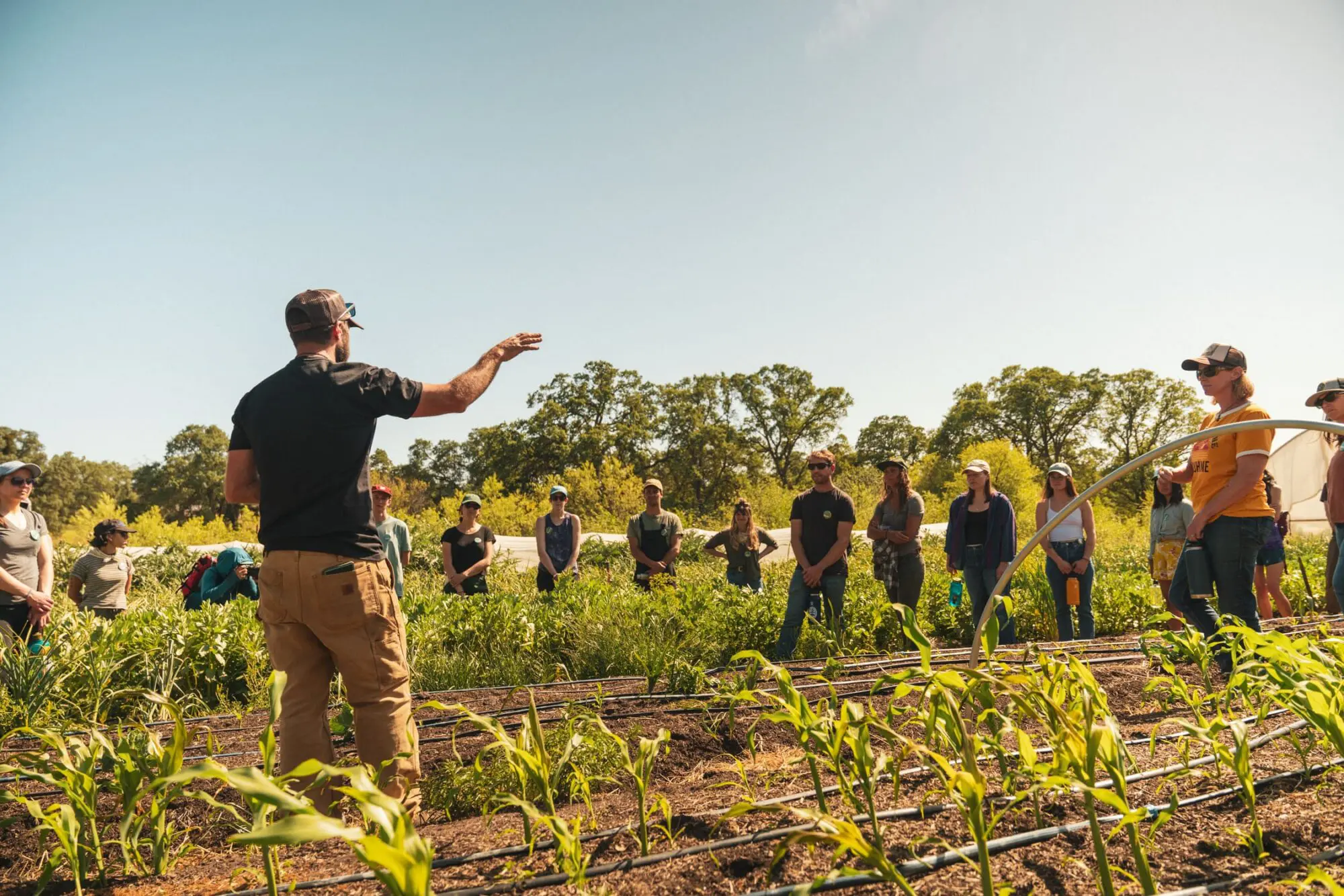 Farmer leading a workshop on an organic farm, discussing regenerative farming practices and soil health with a group.
