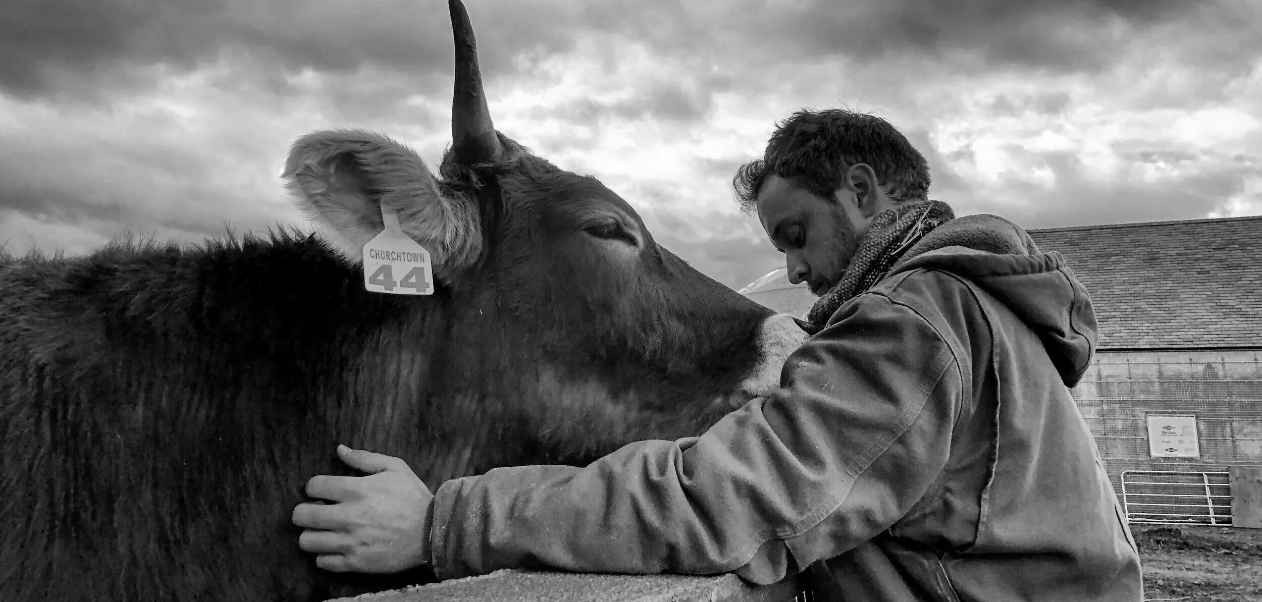 Farmer embracing a cow in a pasture, highlighting animal welfare in agriculture.