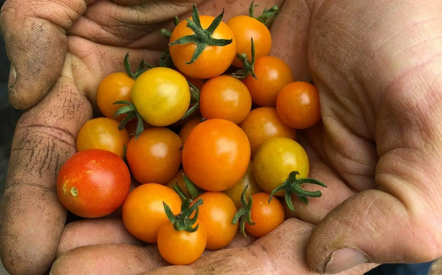 Video Placeholder Image