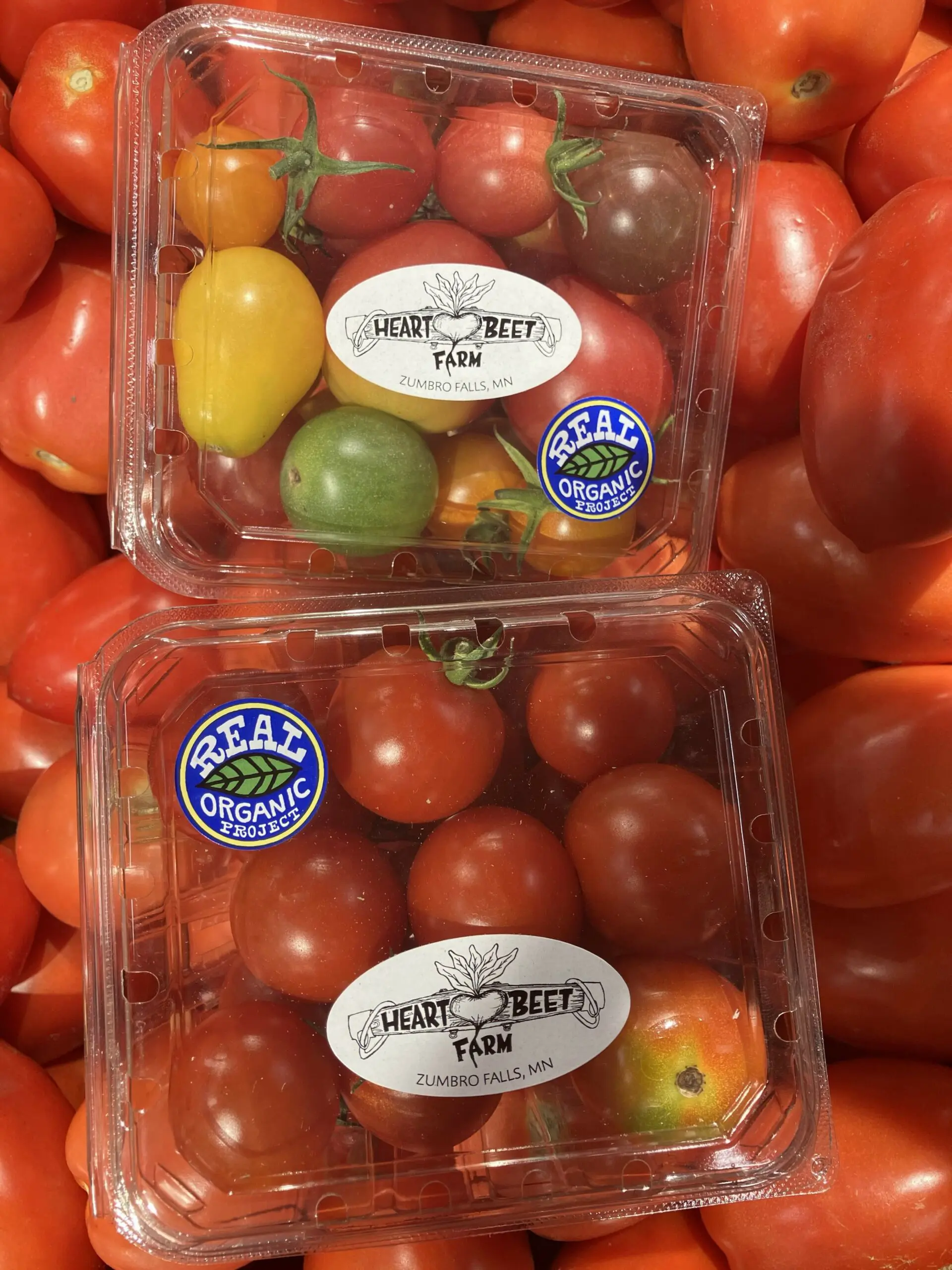 Two clear plastic containers of "Heartbeet Farm" cherry tomatoes, labeled "REAL ORGANIC PROJECT," sit atop a pile of larger red tomatoes.
