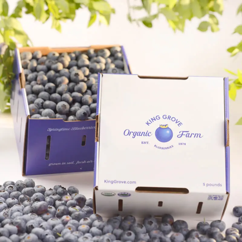 Organic blueberries from King Grove Farm, grown in healthy soil for nutrient-dense food.