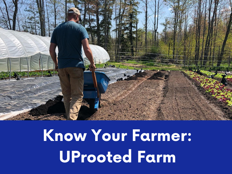 A farmer pulls a blue wheelbarrow in a field with prepared soil beds and a greenhouse structure.