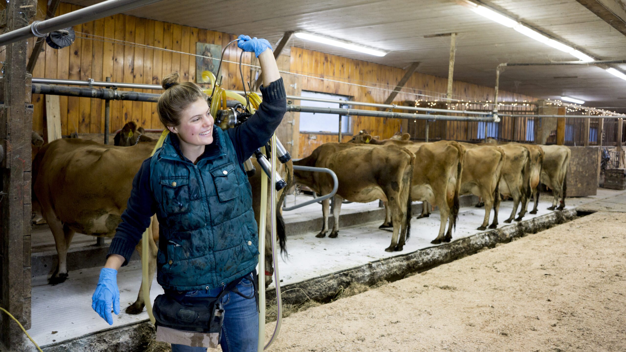 Woman holds milking apparatus with cows in background