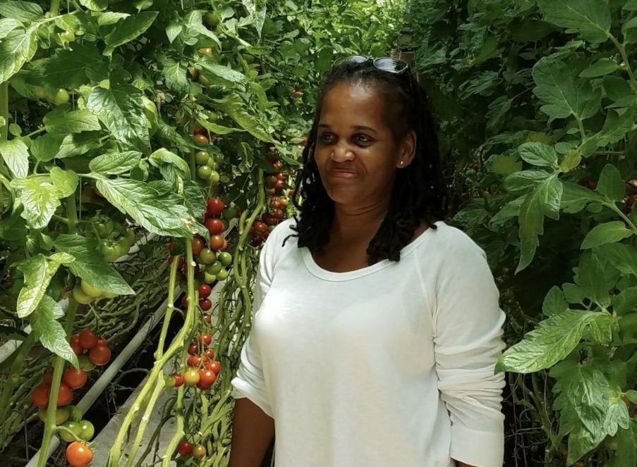 Lynn Ellen Schimoler stands in a tomato row