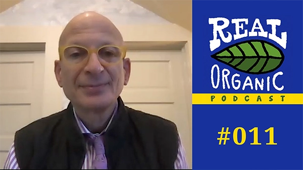 Seth Godin Real Organic Podcast Ep 011
