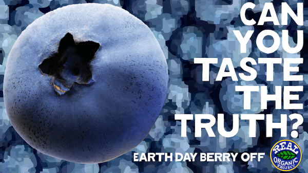 A vibrant blueberry accompanied by the words "Can you taste the truth?" in a playful design.