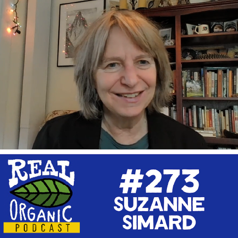 Healthy forest management author Suzanne Simard smiles at her desk