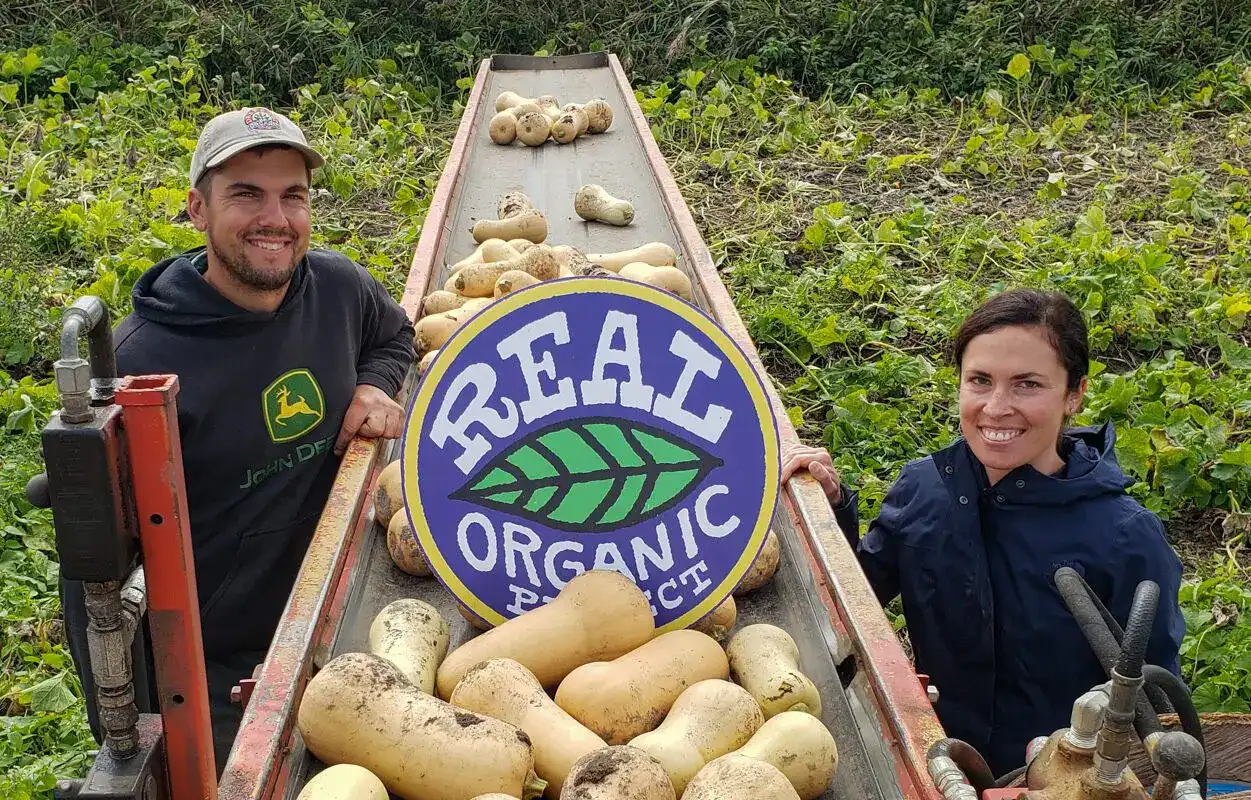 Farmers harvesting organic squash with a Real Organic Project sign in the field.